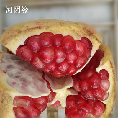 批发突尼斯河阴缘软籽红甜石榴郑州新生鲜水果礼盒一件代发6个5斤