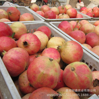 批发突尼斯河阴缘软籽红甜石榴郑州新生鲜水果礼盒一件代发6个5斤图2