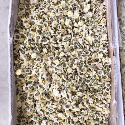 产地直销黄山贡菊 天然优质头采货菊花茶白菊散装批发 量大价优图2