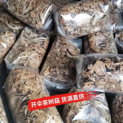 散装500g开伞茶树菇批发 原产地新货福建古田茶树菇干货散装批图3