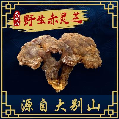 安徽大别山农户自挖自采野生灵芝红丹芝苦赤灵芝瑞草林中灵250g图2