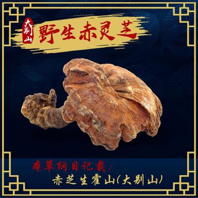 安徽大别山农户自挖自采野生灵芝红丹芝苦赤灵芝瑞草林中灵250g图3