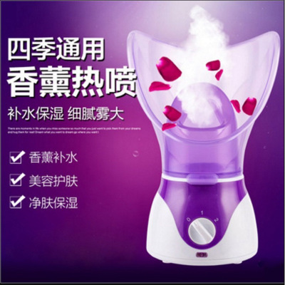 新款蒸脸器香薰喷雾机蒸面器补水仪蒸脸器热喷蒸鼻器厂家直销图3