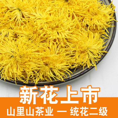 19年新花 产地货源金丝皇菊散装菊花茶批发一杯一朵金丝大黄菊花图2