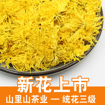 19年新花 产地货源金丝皇菊散装菊花茶批发一杯一朵金丝大黄菊花图3