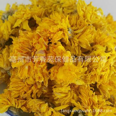 批发 花草茶 婺源黄菊花 黄菊花茶 菊花 黄贡菊 亳州芳香苑图3