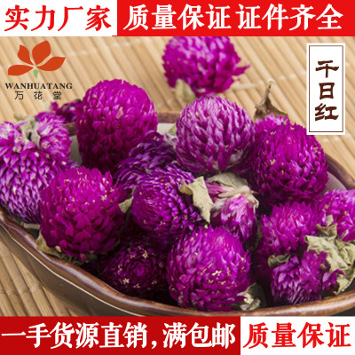 千日红干花 批发供应千日红花草茶量大从优 云南特产一件代发