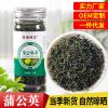 批发蒲公英茶50g 天然婆婆丁茶OEM贴牌代加工