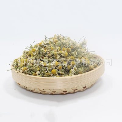 洋甘菊干花优质新货 批发花茶 洋甘菊产地直销图2