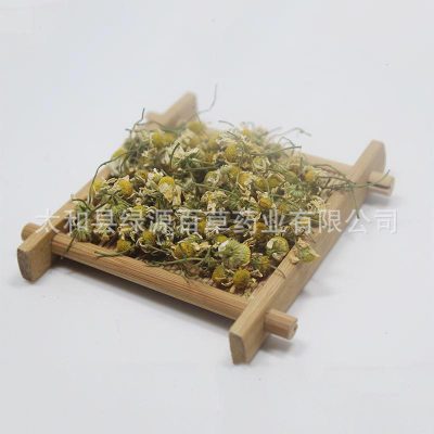 洋甘菊干花优质新货 批发花茶 洋甘菊产地直销图3