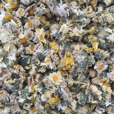 厂家直销 特价供应特级菊花 正宗桐乡杭白菊 朵花花草茶批发图2