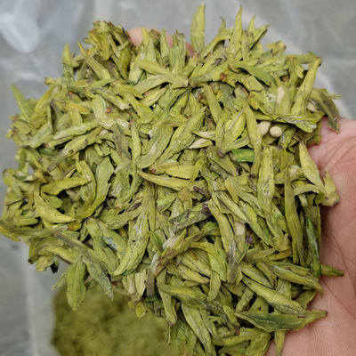 2020新茶明前龙井茶 杭州富阳龙井43黄版浓香绿茶叶散装批发货源图2
