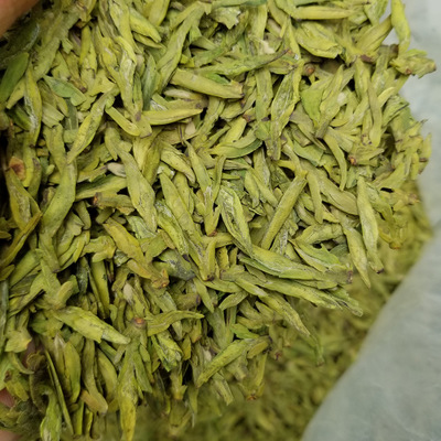 2020新茶明前龙井茶 杭州富阳龙井43黄版浓香绿茶叶散装批发货源图3
