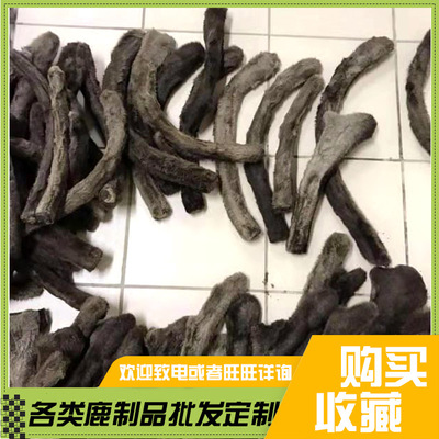 东北特产训鹿茸 厂家直销批发干训鹿茸 鹿场供应新鲜梅花鹿训鹿茸