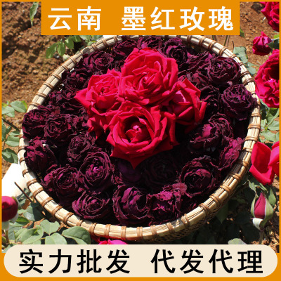 2020头水新花墨红玫瑰食用玫瑰花茶云南玫瑰花冠冻干烤干批发大货图1