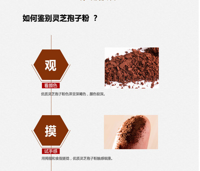 厂家批发 出口 破壁灵芝孢子粉 98%破壁率 原料 现货价优图2