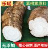 厂家供应葛根丁素原料 葛根片黄酮原料 葛根粉批发