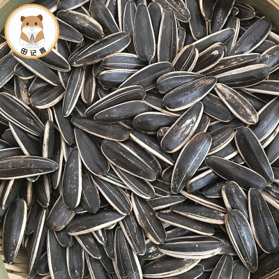 原味瓜子厂家批发 休闲零食2500g装葵花子手剥 瓜子坚果现货图3