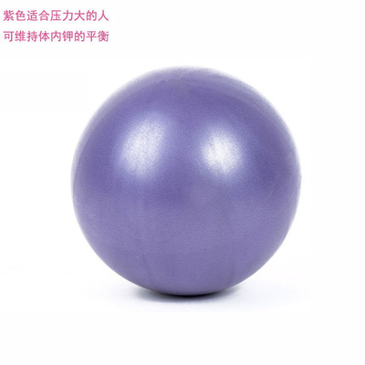 25cm瑜伽球普拉提麦管球操球儿童孕妇平衡健身球体pvc瑜伽小球图3