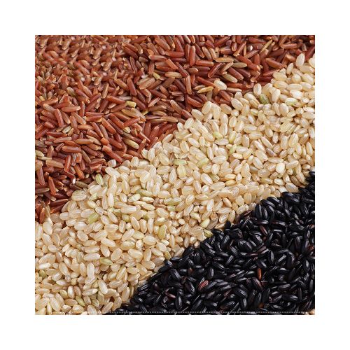 糙米三色米新米农家五谷杂粮红慥米黑米红米糙米粗粮1斤