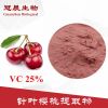 针叶樱桃提取物 VC25% 维生素C 针叶樱桃冻干粉 工厂直销