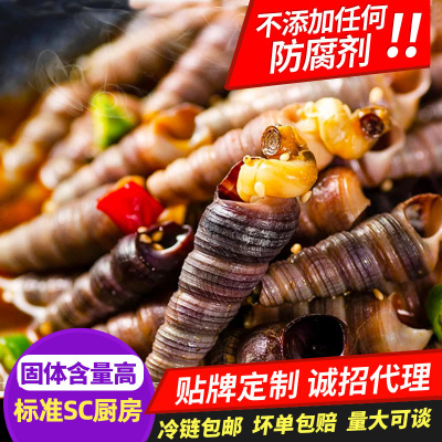 麻辣钉螺罐装 鲜活麻辣海瓜子开罐即食小海鲜 海鲜熟食香辣大海锥图1
