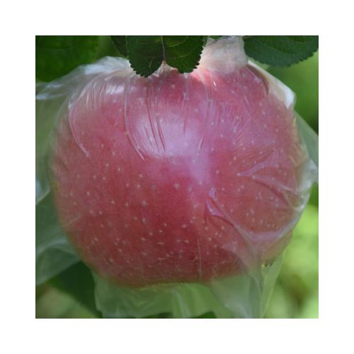 新鲜脆甜山西高原山区脆甜红富士丑苹果10斤一箱包邮产地直发代发