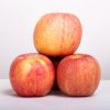 自家果园现摘红富士苹果10斤装红甜苹果批发新鲜水果一件代发