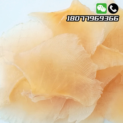 北海特产鳐鱼翅 浦鱼翅鲽鱼翅 煲汤特产渔家晒制海产干货500g/包图2