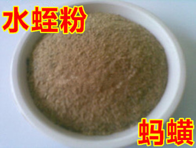 中药材 清水水蛭粉 野生蚂蝗干货无盐 水蛭粉图3