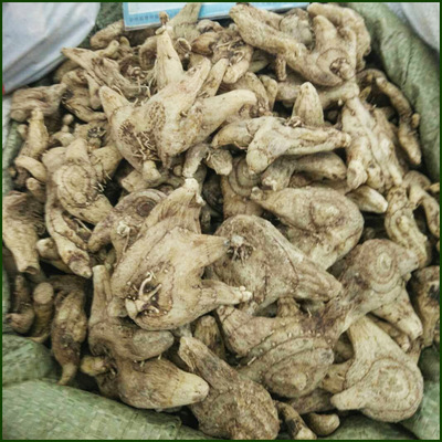 产地货源 批发供应白芨 白芨个 白芨片 白及 亳州中药材供应