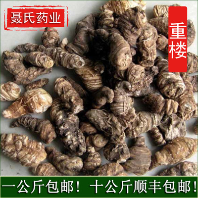云南重楼 名贵中药材批发供应 产地直销 重楼个图2