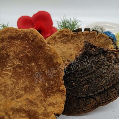 产地货源桑黄散装批发销售桑树桑黄灵芝可切片传统中药材品质保障图3