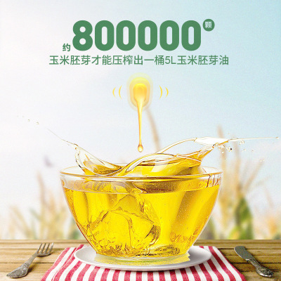 厂家批发 鹭金香 5L玉米胚芽油 炒菜烹饪植物油 物理压榨金黄清亮图3