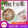 新粮上市 巨龙有机十谷米 粥料 真空装400g/袋 粗粮营养粥米批发