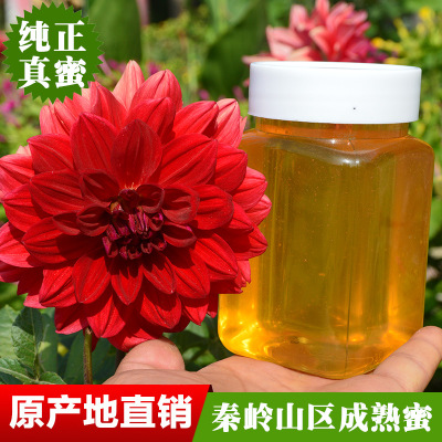 颐蜂堂厂家直供 秦岭深山土特产纯农家自产天然百花结晶蜂蜜批发