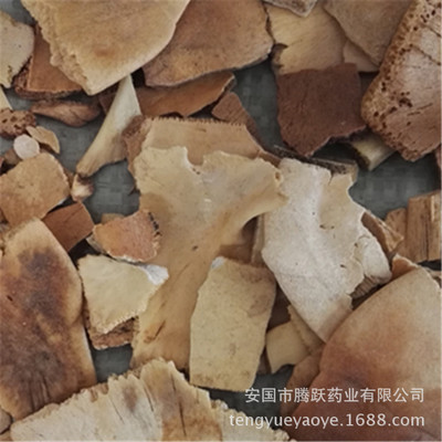 供应中药材龟板 醋龟板图2