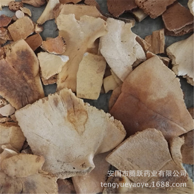 供应中药材龟板 醋龟板图3