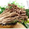 古田茶树菇 产地量大批发 南北干货 食用菌 不开伞茶树菇 250克