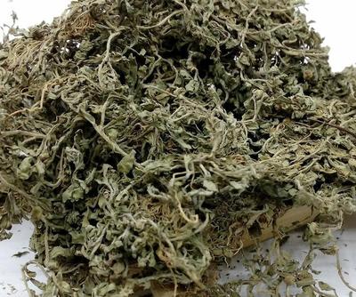 中药材批发鹅不食草 野生新货鹅不食草天然正品鹅不食草一斤包邮图3