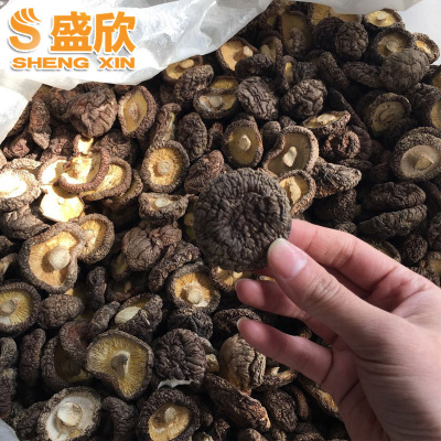 福建农副产品新货干香菇 250g南北干货散装黑面菇 食用菌批发