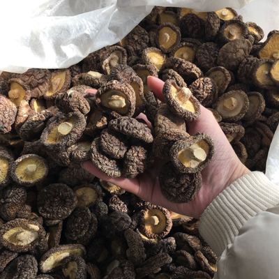福建农副产品新货干香菇 250g南北干货散装黑面菇 食用菌批发图2