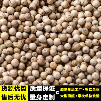 产地货源云南精品保山胡椒500g白胡椒粒可打胡椒粉火锅底料调料图3