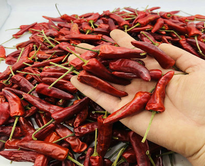 福建辣椒王 卤菜用干辣椒 福建古田辣椒批发 印度魔鬼辣椒 二荆条图2