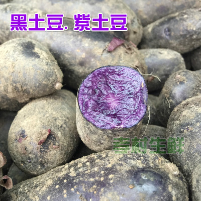 新鲜黑土豆紫心紫土豆黑美人1斤装黑金刚马铃薯一件代发包邮