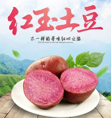 四季播种脱毒红心土豆种子+黑紫色土豆种子5斤红皮红玉土豆种原种图2