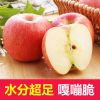 北都庄园高山富硒精品红富士苹果10斤80-85大果18枚新鲜苹果水果