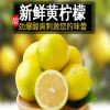 四川安岳黄柠檬现摘当季新鲜水果酸爽多汁果园直发一件代发