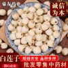 湘潭无硫无心白莲子批发 干货散装白莲子承接大货量大价优白莲子