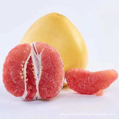 现货海南红心三红蜜柚红心柚子5斤新鲜水果一件代发